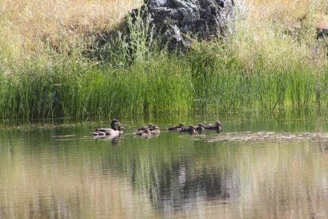 13451 Rockpile Road Healdsburg CA 95448