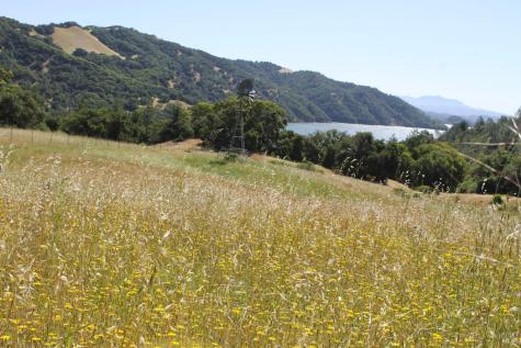 13451 Rockpile Road Healdsburg CA 95448