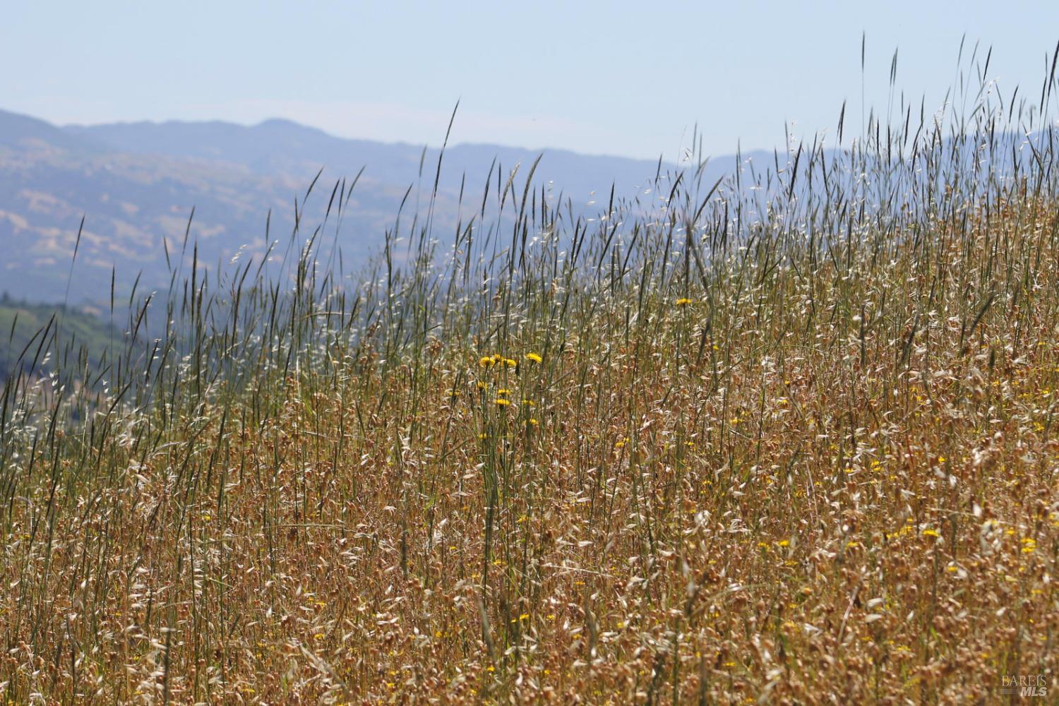 13451 Rockpile Road Healdsburg CA 95448
