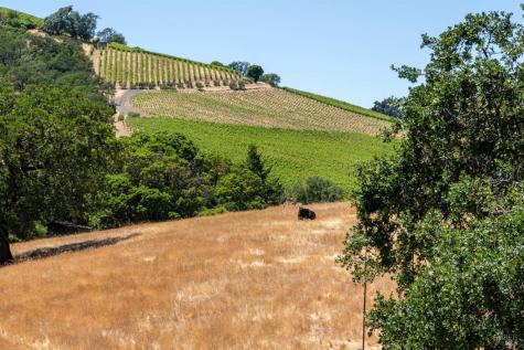 13451 Rockpile Road Healdsburg CA 95448