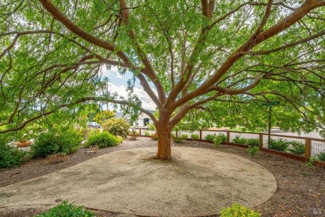 960 Lark Avenue Sonoma CA 95476