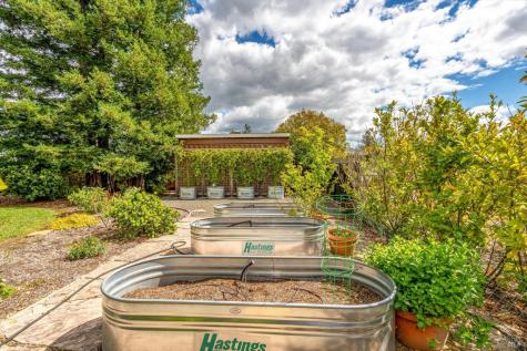 960 Lark Avenue Sonoma CA 95476