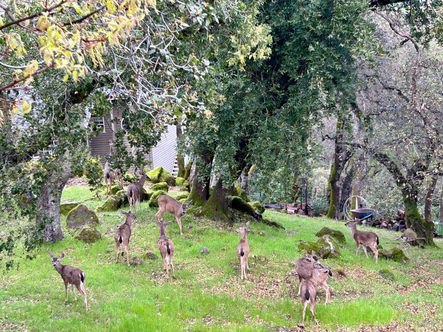 4427 Glencannon Drive Fairfield CA 94534