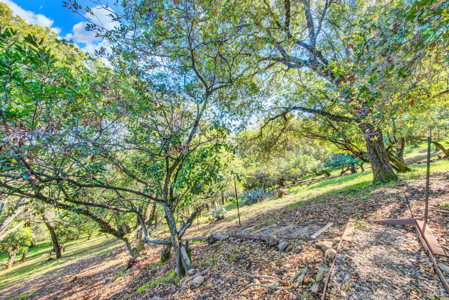 4427 Glencannon Drive Fairfield CA 94534