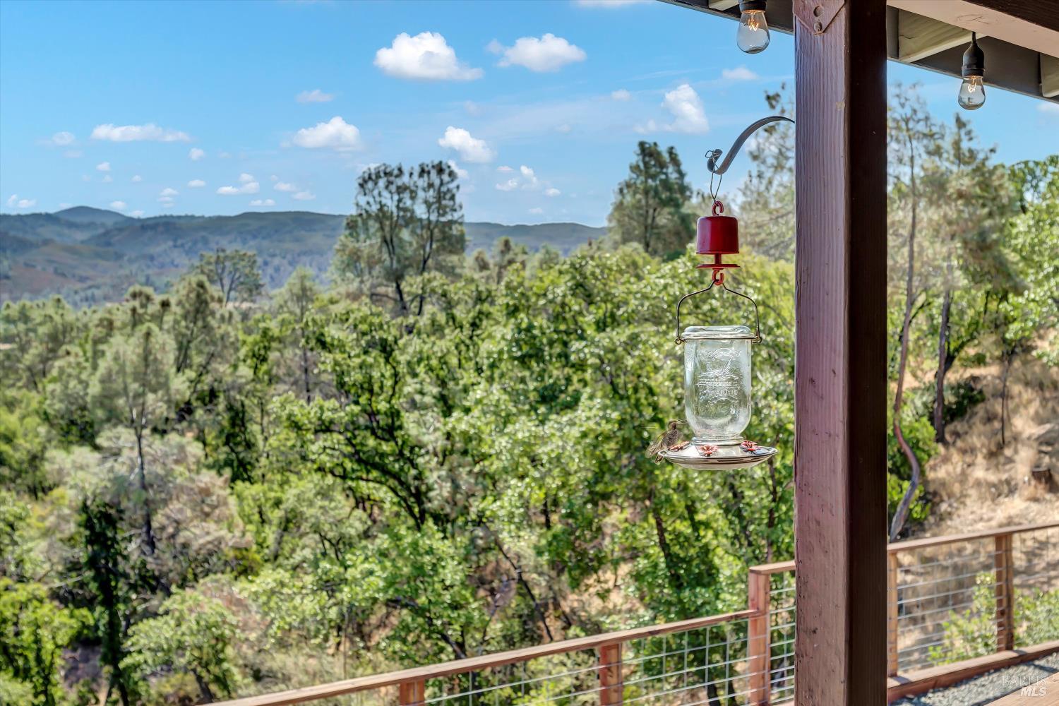 10225 Kelsey Creek Drive Kelseyville CA 95451