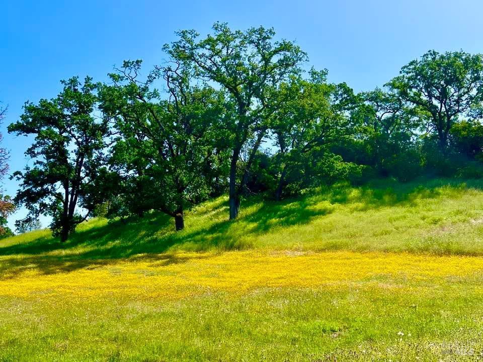 10225 Kelsey Creek Drive Kelseyville CA 95451