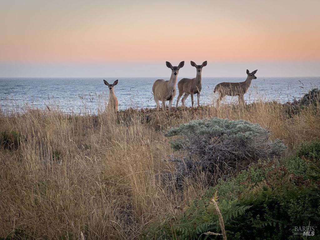 35148 Crows Nest Drive The Sea Ranch CA 95497
