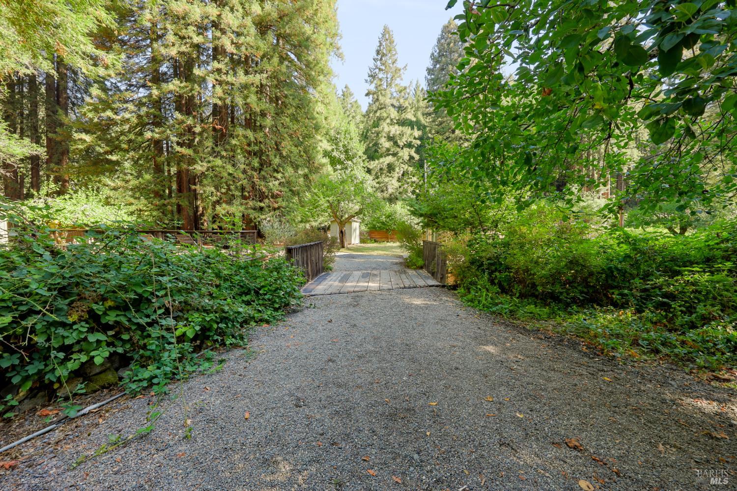 10131-10101 Highway 116 Forestville CA 95436