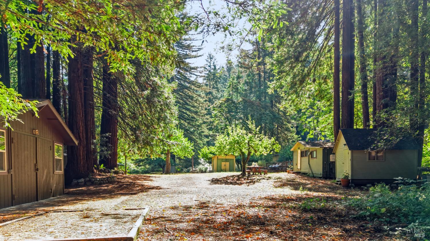 10131-10101 Highway 116 Forestville CA 95436