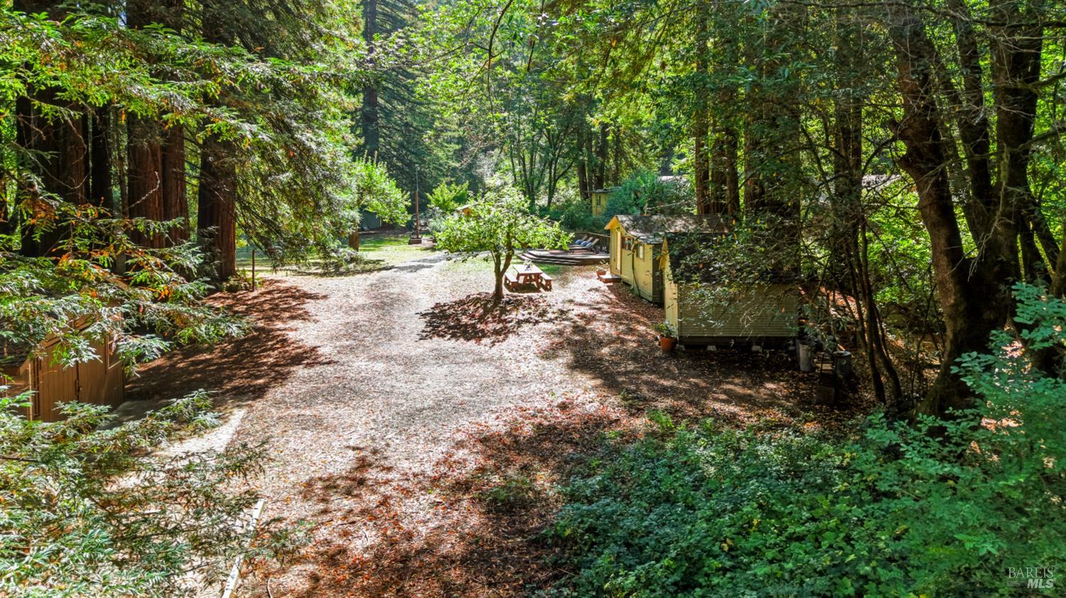 10131-10101 Highway 116 Forestville CA 95436