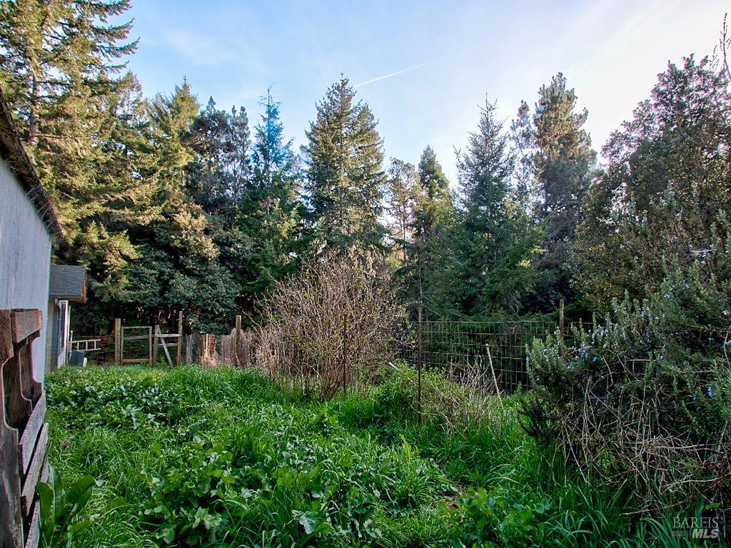 31191 Turner Road Fort Bragg CA 95437