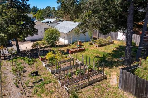 1220 Gravenstein Highway N Sebastopol CA 95472