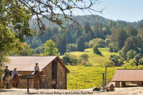 3466 Warm Springs Road Glen Ellen CA 95442