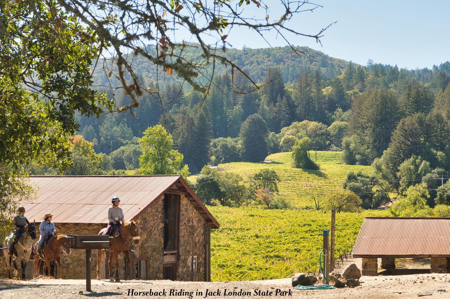 3466 Warm Springs Road Glen Ellen CA 95442