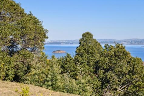 19 Mliss Lane San Rafael CA 94901