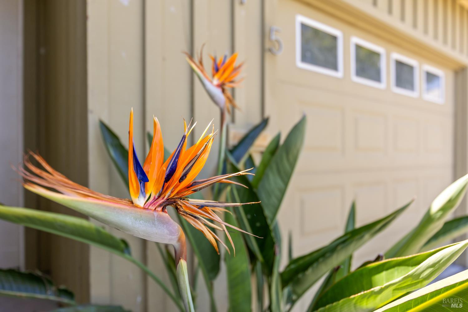 15 Lupoyoma Avenue Lakeport CA 95453