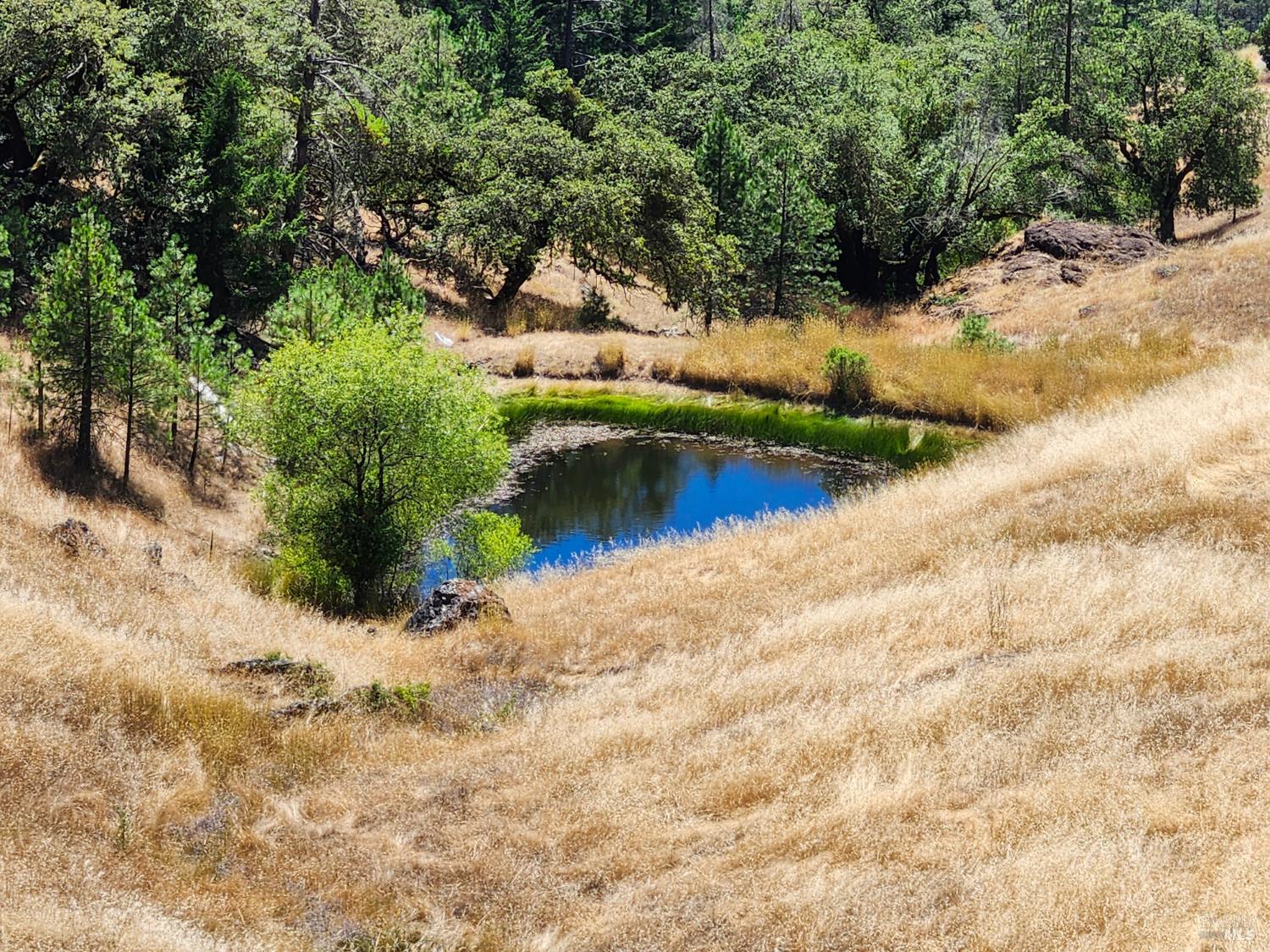 3550 Chinquapin Drive Willits CA 95490
