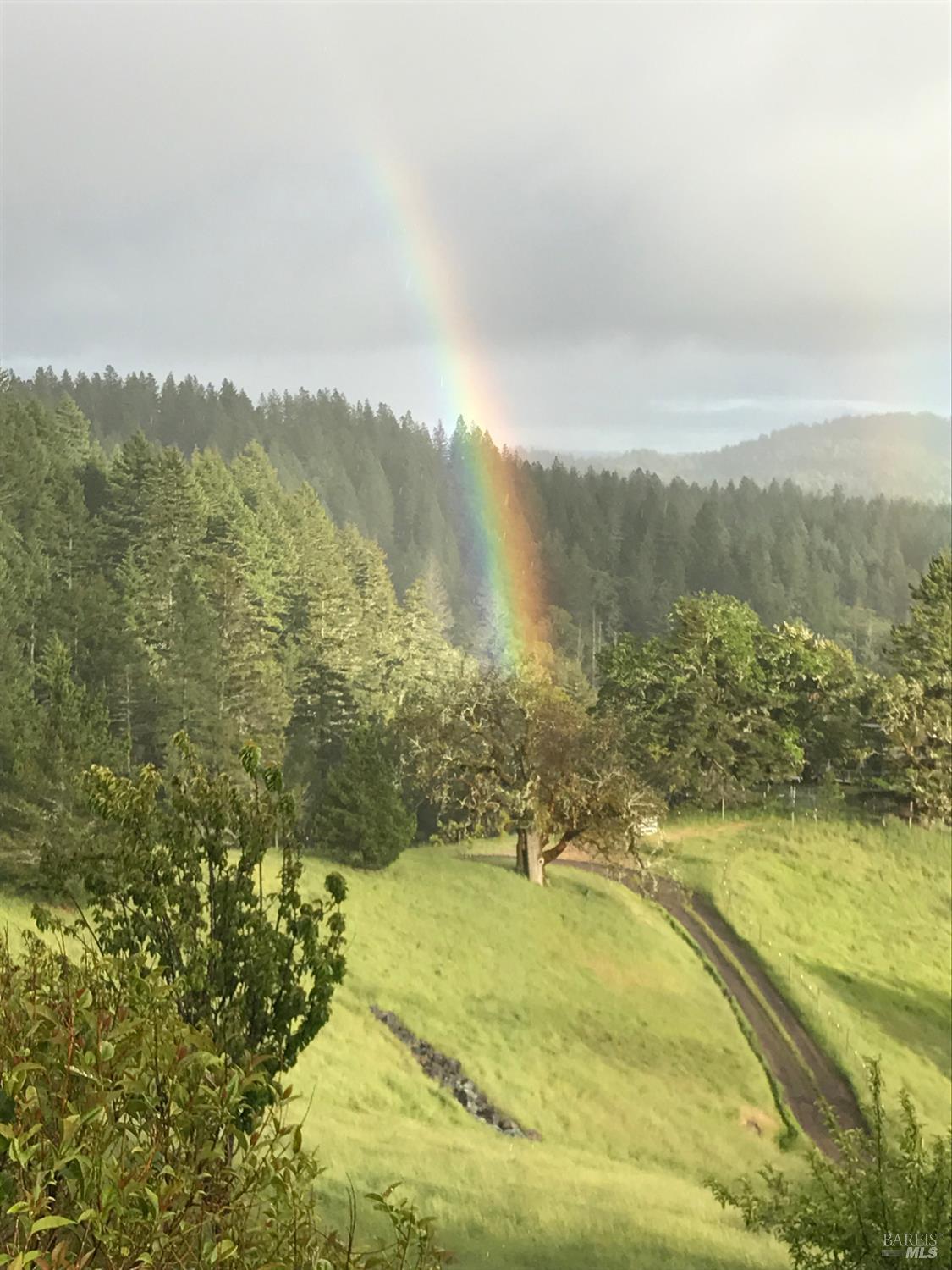 3550 Chinquapin Drive Willits CA 95490
