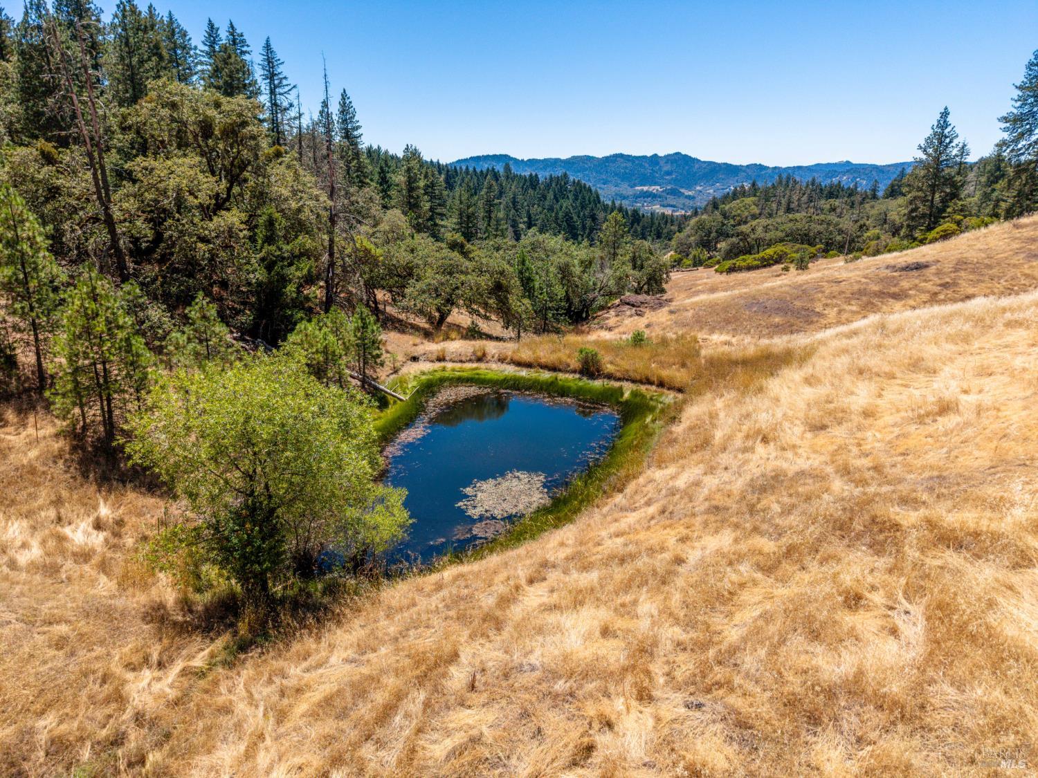 3550 Chinquapin Drive Willits CA 95490