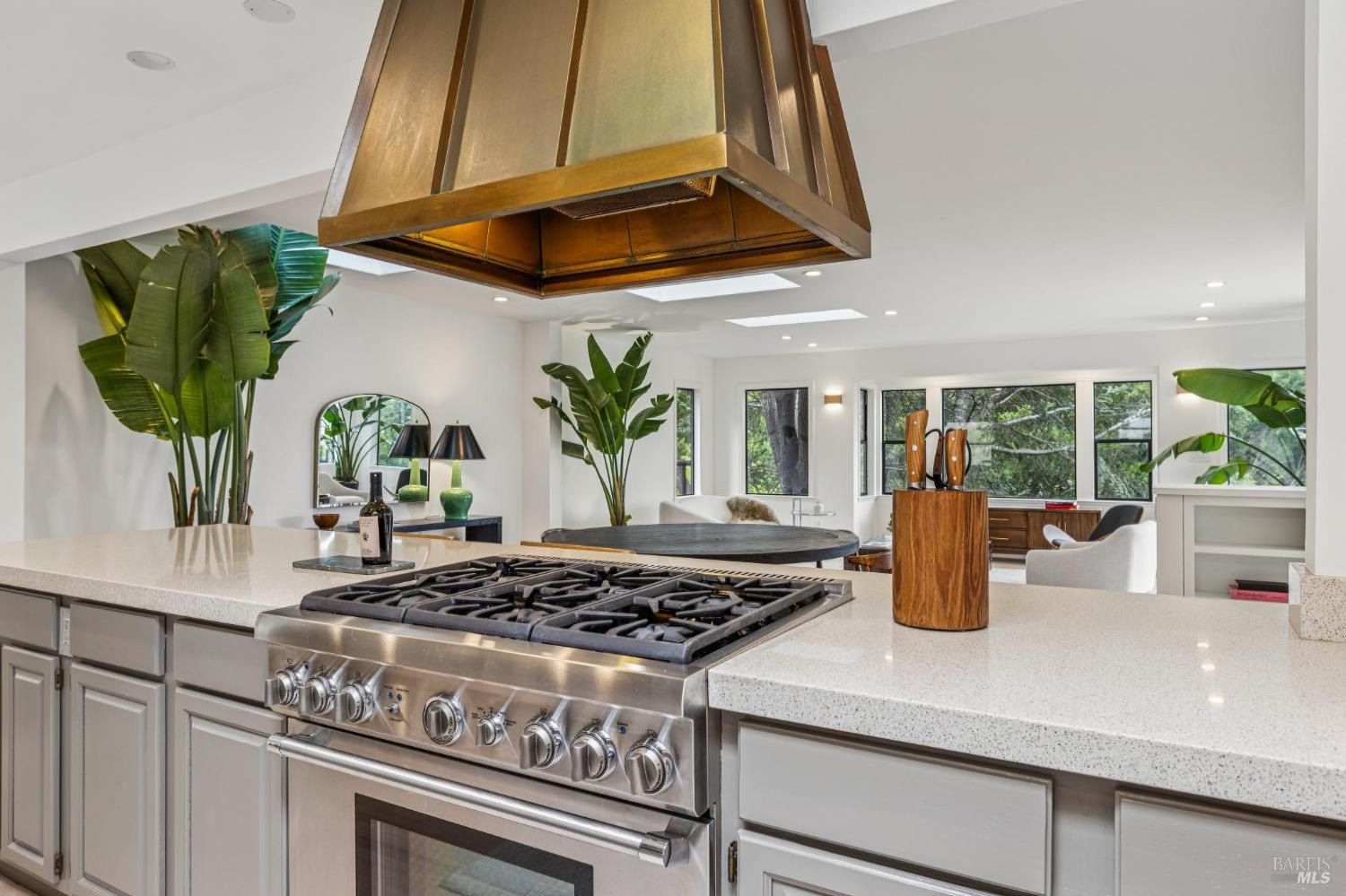 23 Blossom Drive San Rafael CA 94901