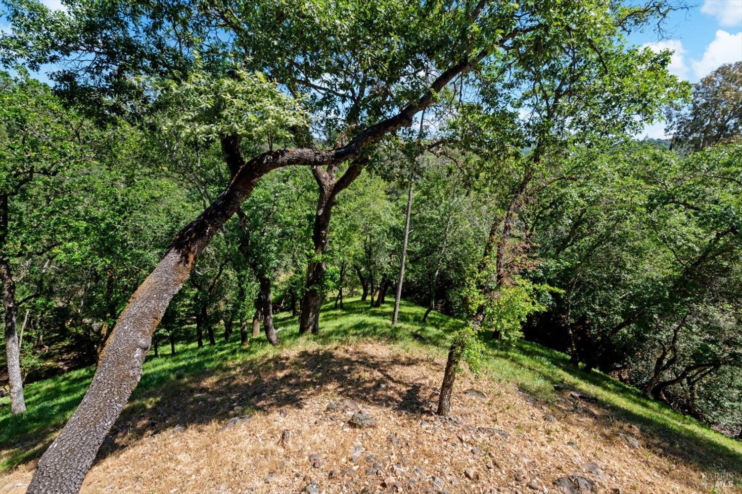 258 Circle Oaks Drive Napa CA 94558