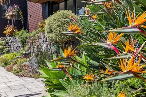 312 Fairhills Drive San Rafael CA 94901