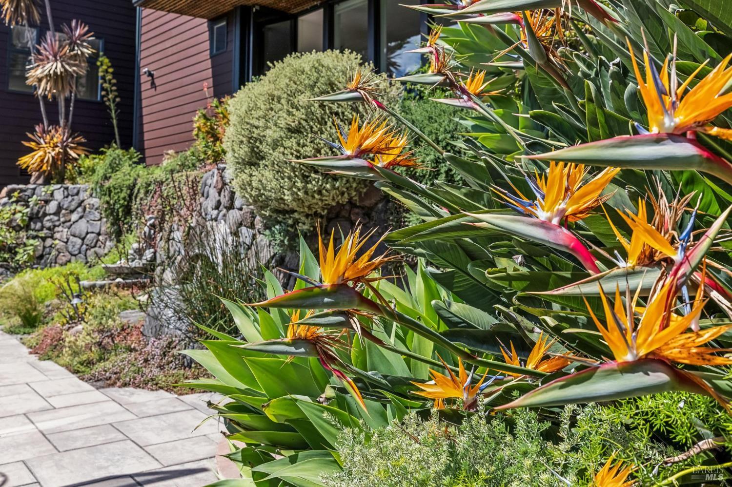 312 Fairhills Drive San Rafael CA 94901