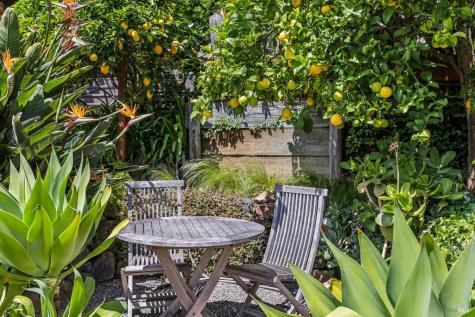 312 Fairhills Drive San Rafael CA 94901