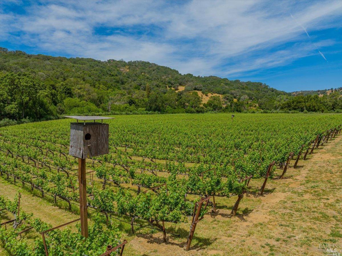 6595 Gordon Valley Road Napa CA 94558