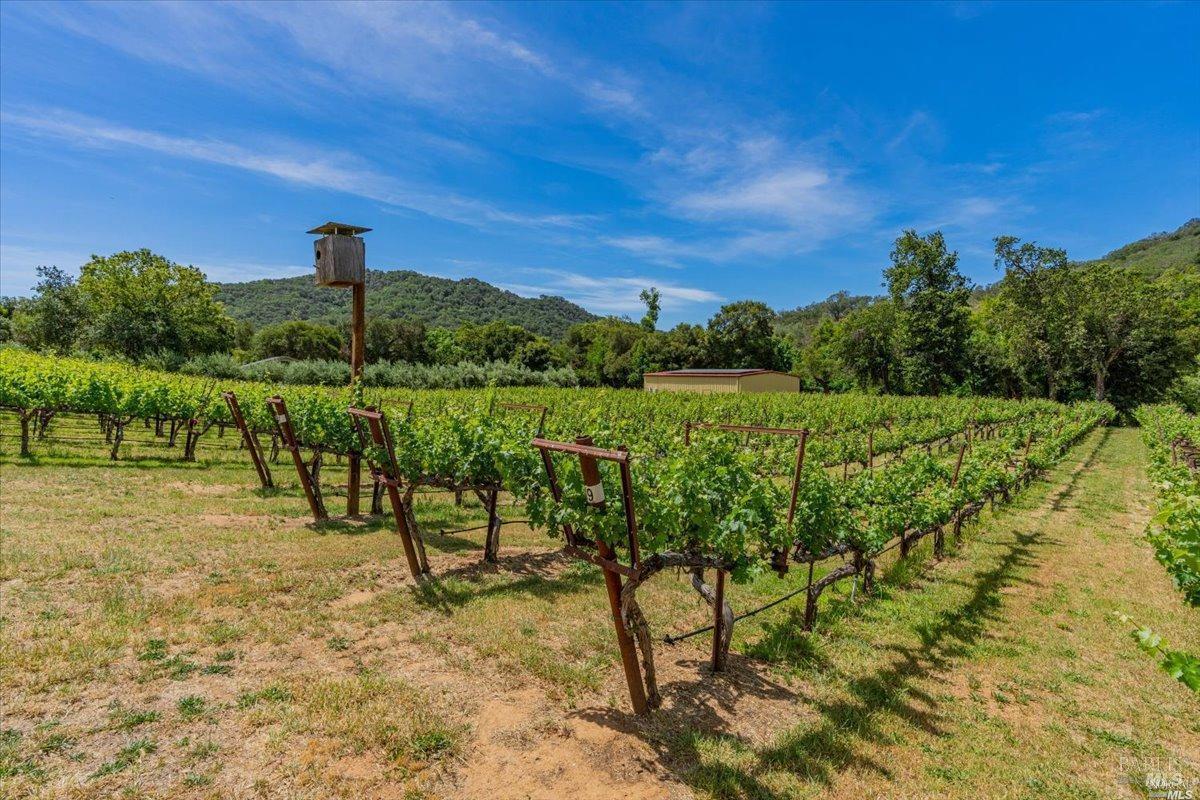 6595 Gordon Valley Road Napa CA 94558