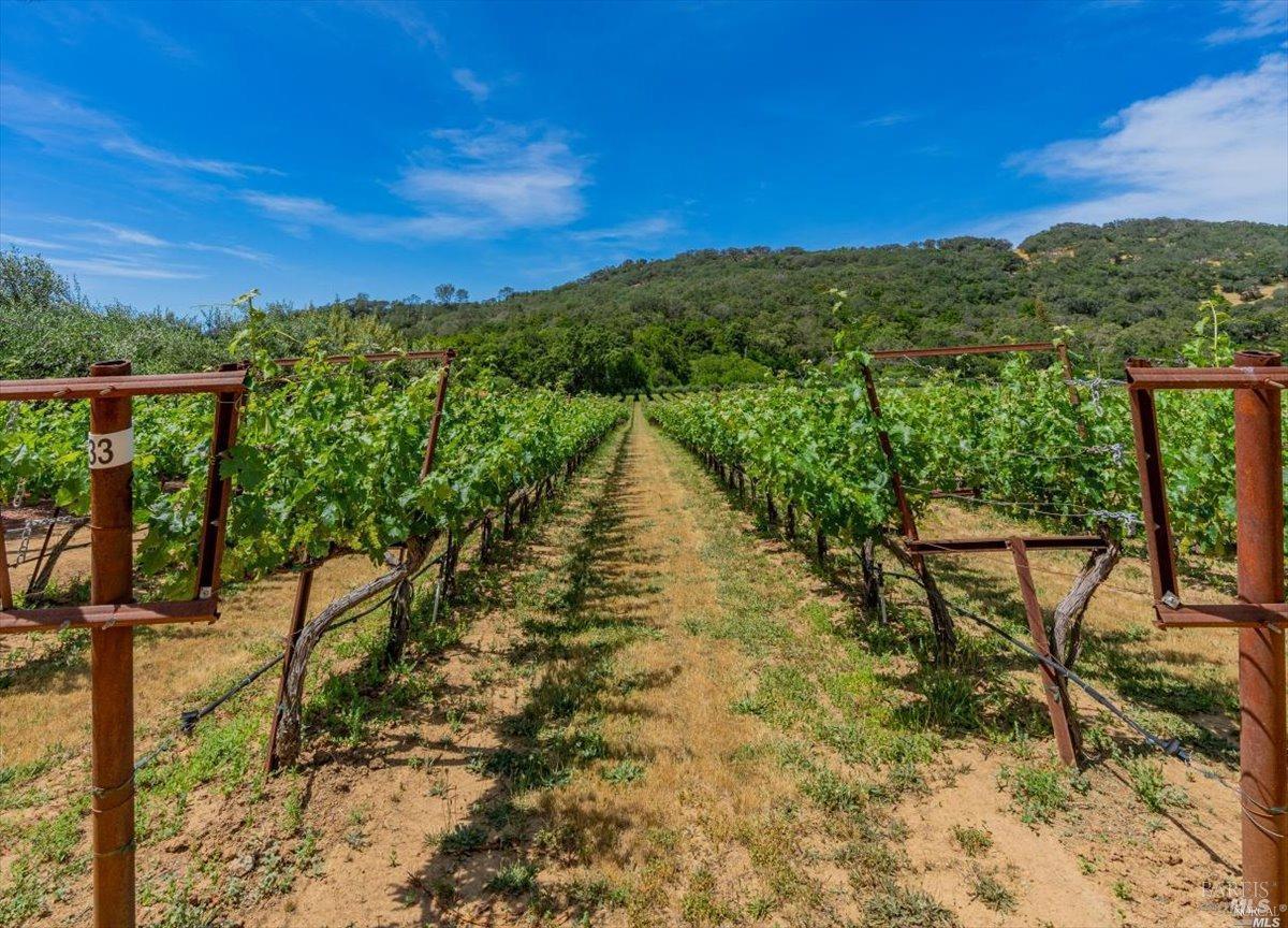 6595 Gordon Valley Road Napa CA 94558