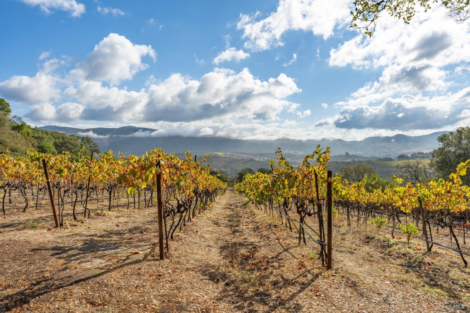 600 Stonecrest Drive Napa CA 94558