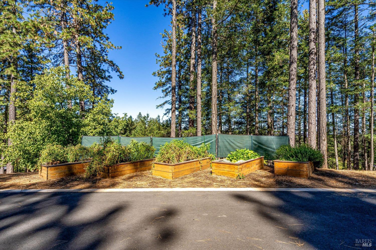 1155 Las Posadas Road Angwin CA 94508