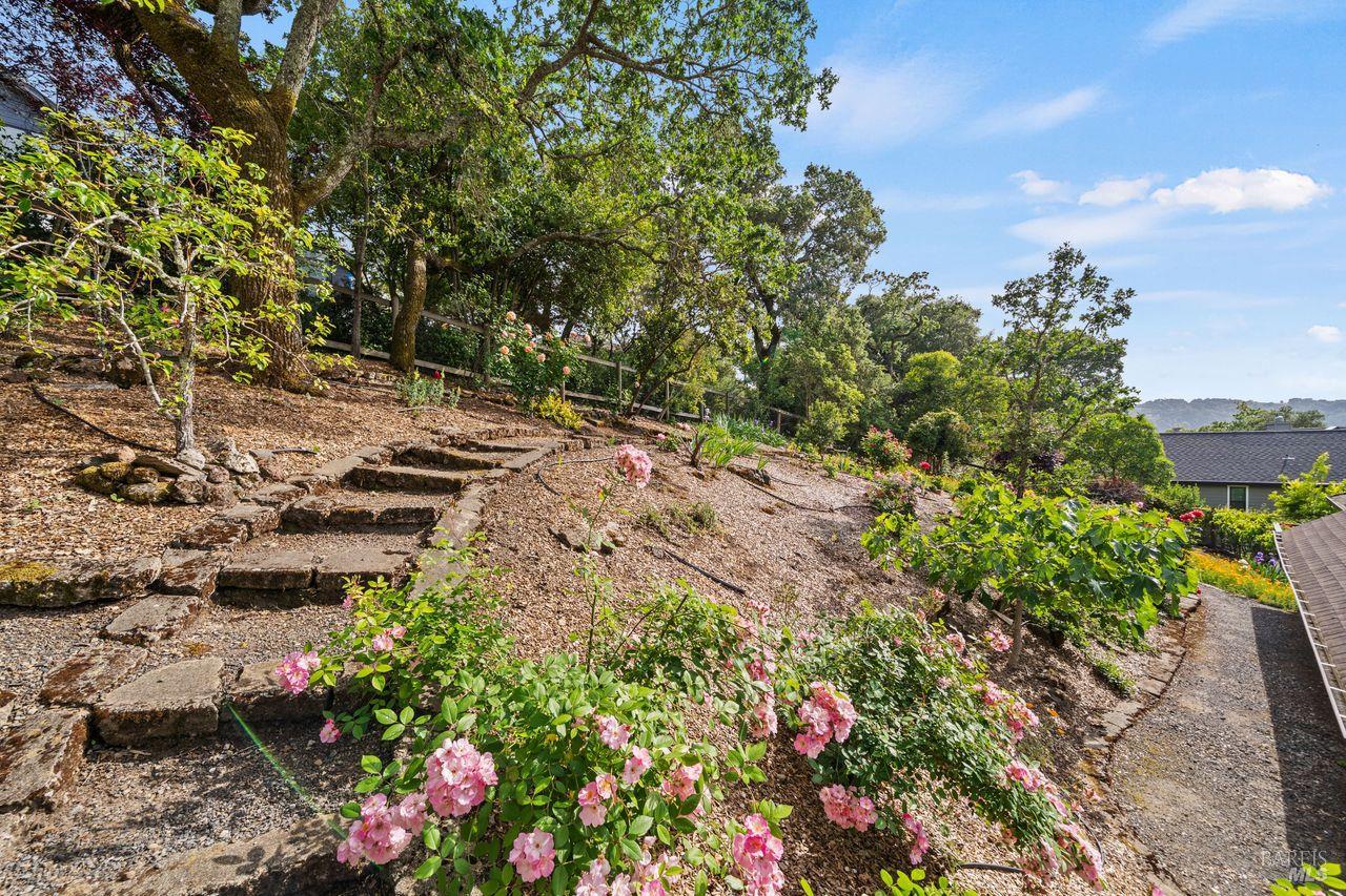3541 Foxwood Place Santa Rosa CA 95405