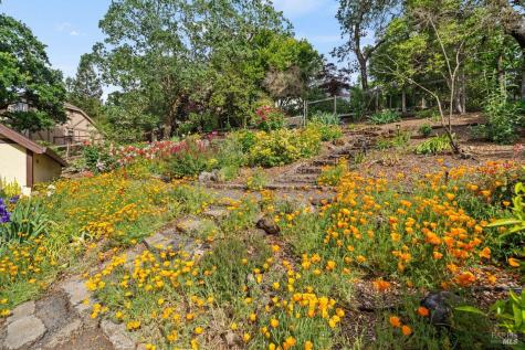 3541 Foxwood Place Santa Rosa CA 95405