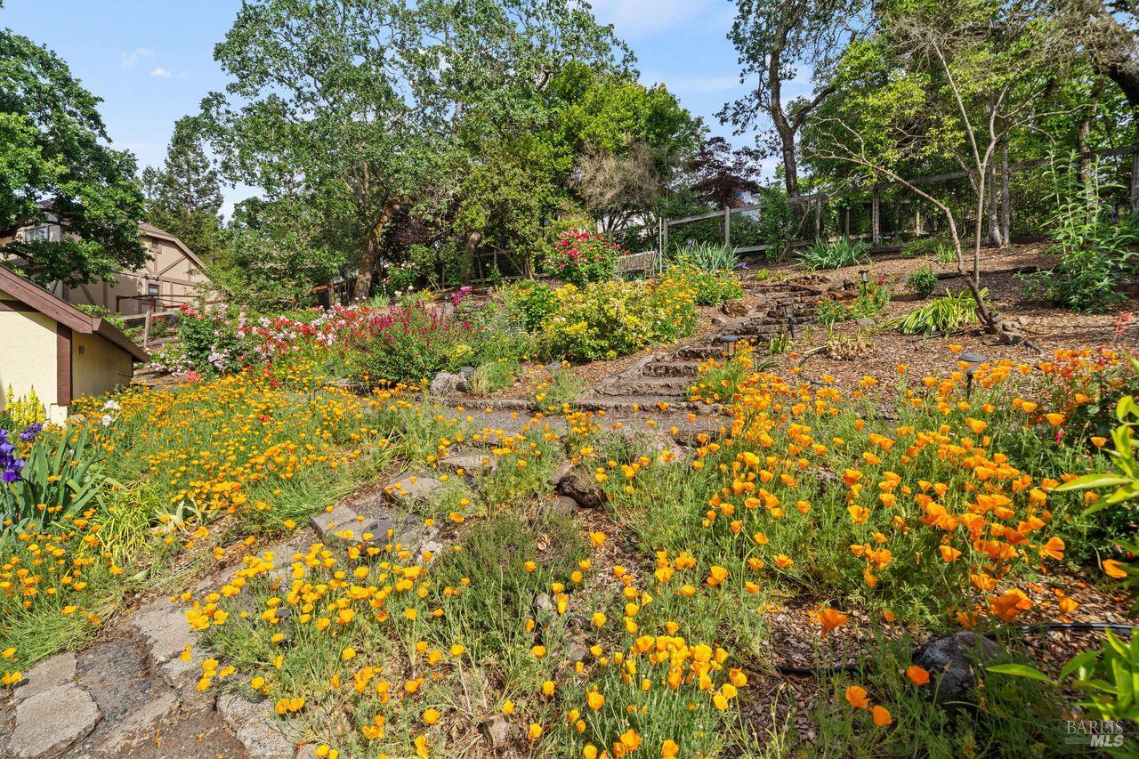 3541 Foxwood Place Santa Rosa CA 95405