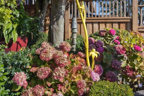 2350 Paradise Drive Tiburon CA 94920