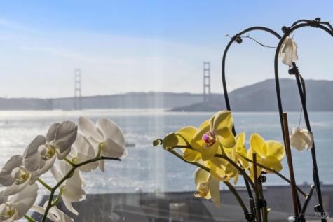 2350 Paradise Drive Tiburon CA 94920