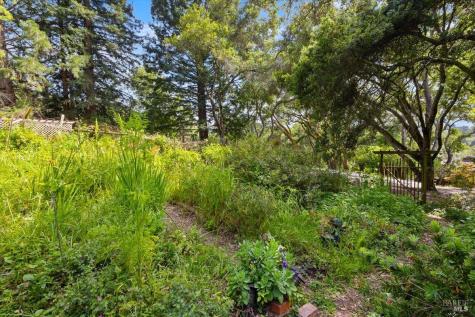 2019 Pleasant Hill Road Sebastopol CA 95472