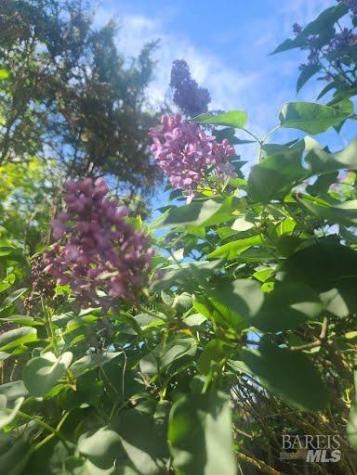 Rohnert Park CA 94928