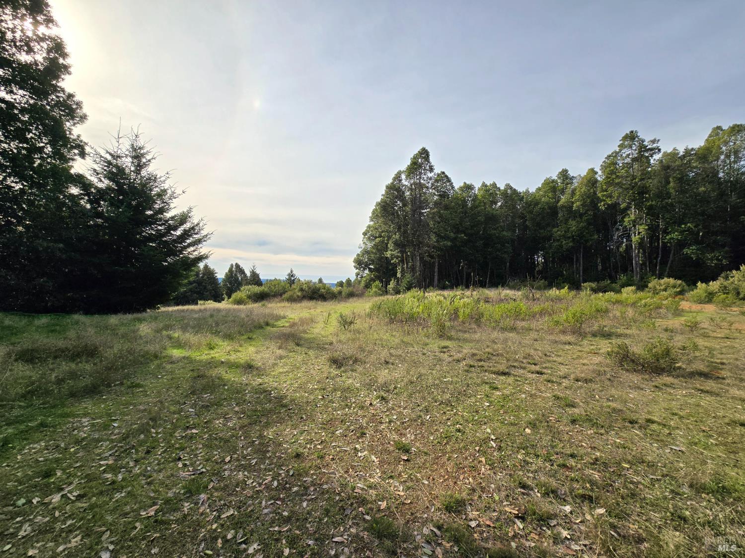 36955 Eureka Stagecoach Road Willits CA 95490