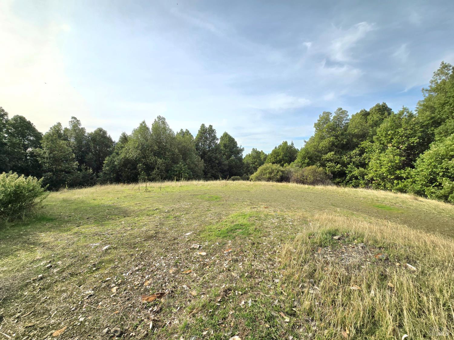 36955 Eureka Stagecoach Road Willits CA 95490