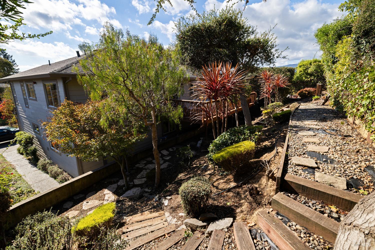125 Tiburon Boulevard Mill Valley CA 94941