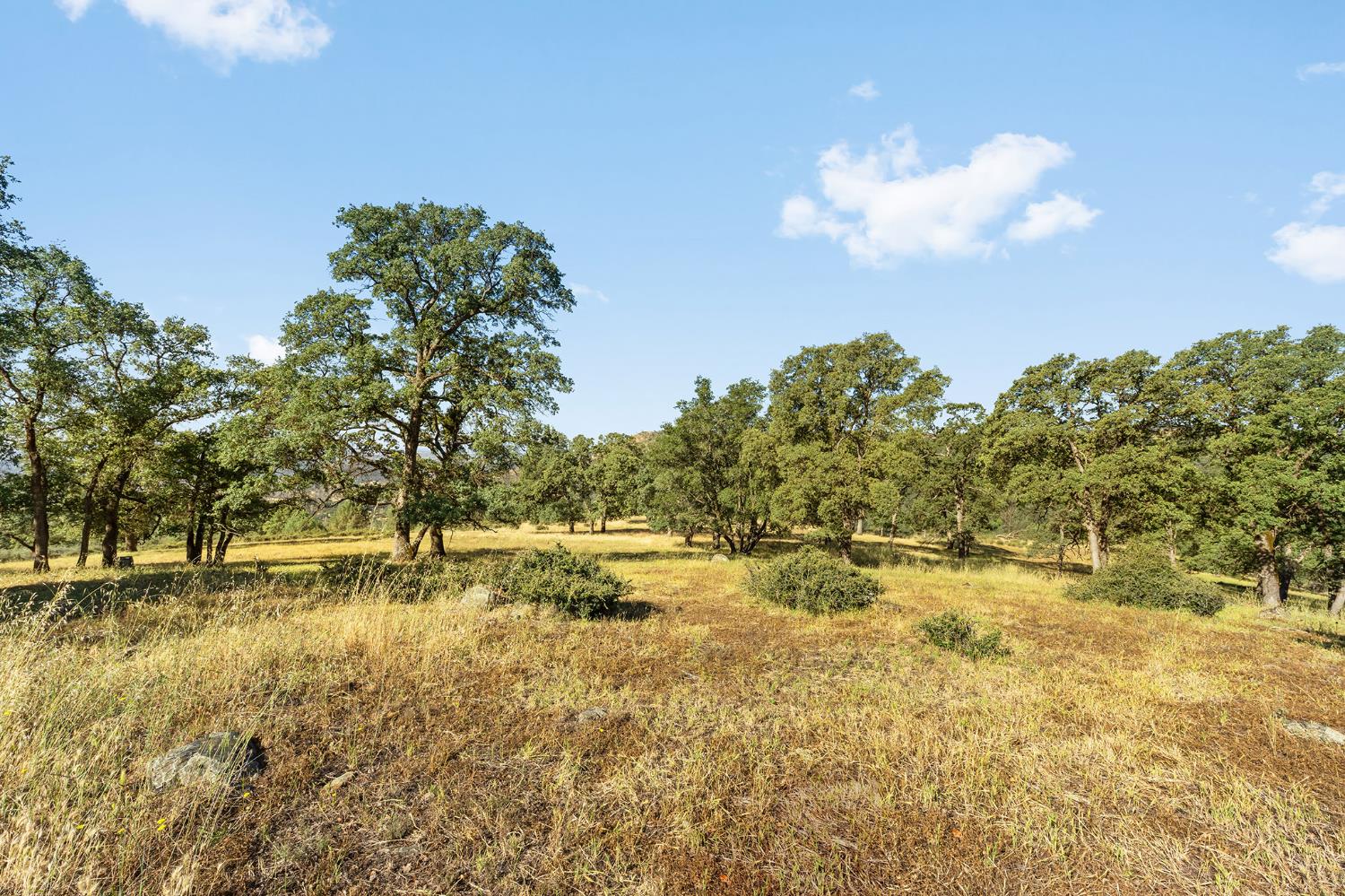 1484 Oregon Gulch Road Oroville CA 95965