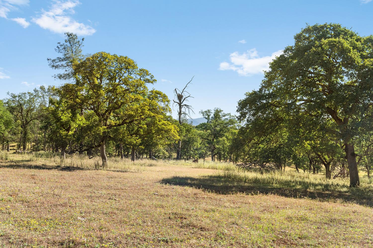 1484 Oregon Gulch Road Oroville CA 95965