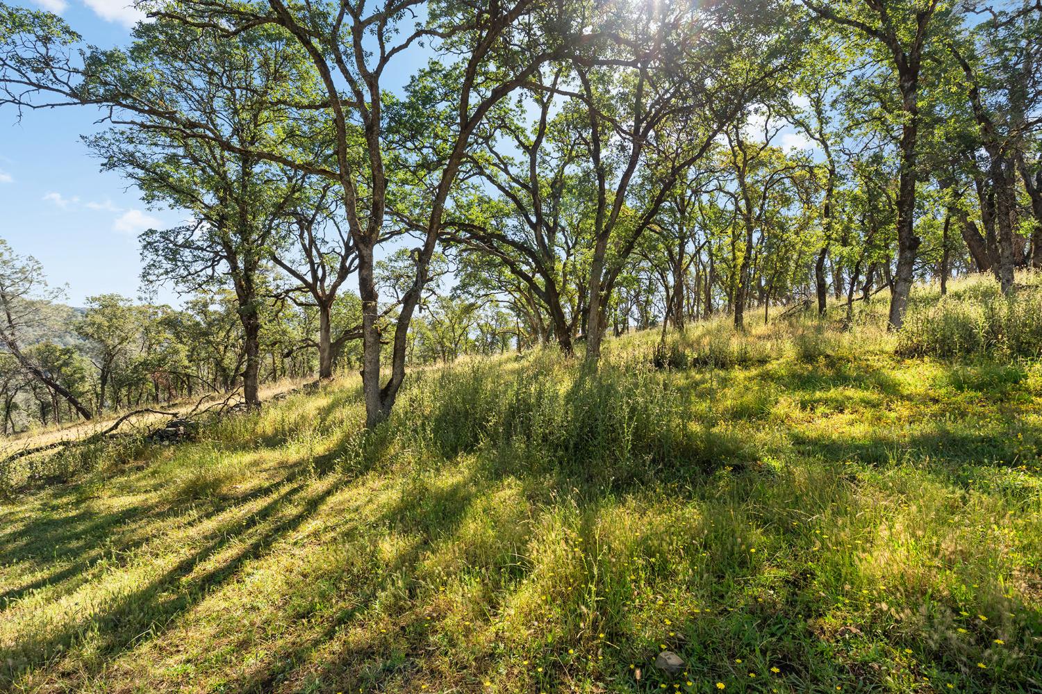 1484 Oregon Gulch Road Oroville CA 95965