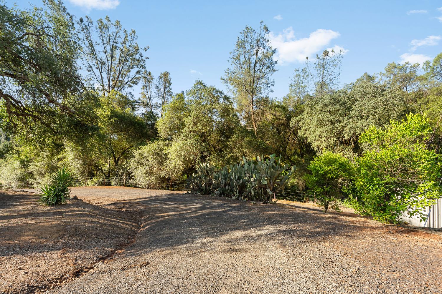 1484 Oregon Gulch Road Oroville CA 95965