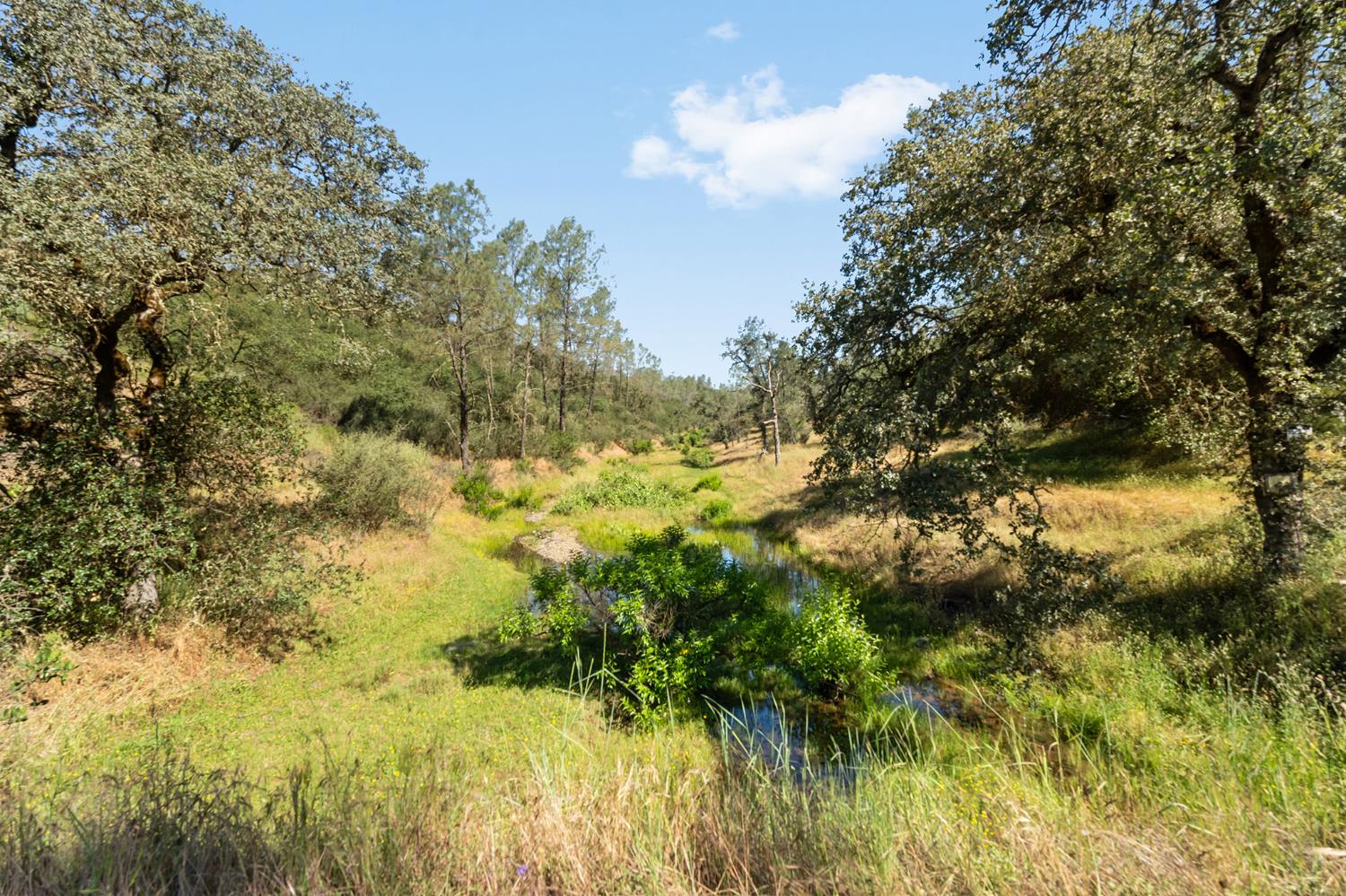 1484 Oregon Gulch Road Oroville CA 95965