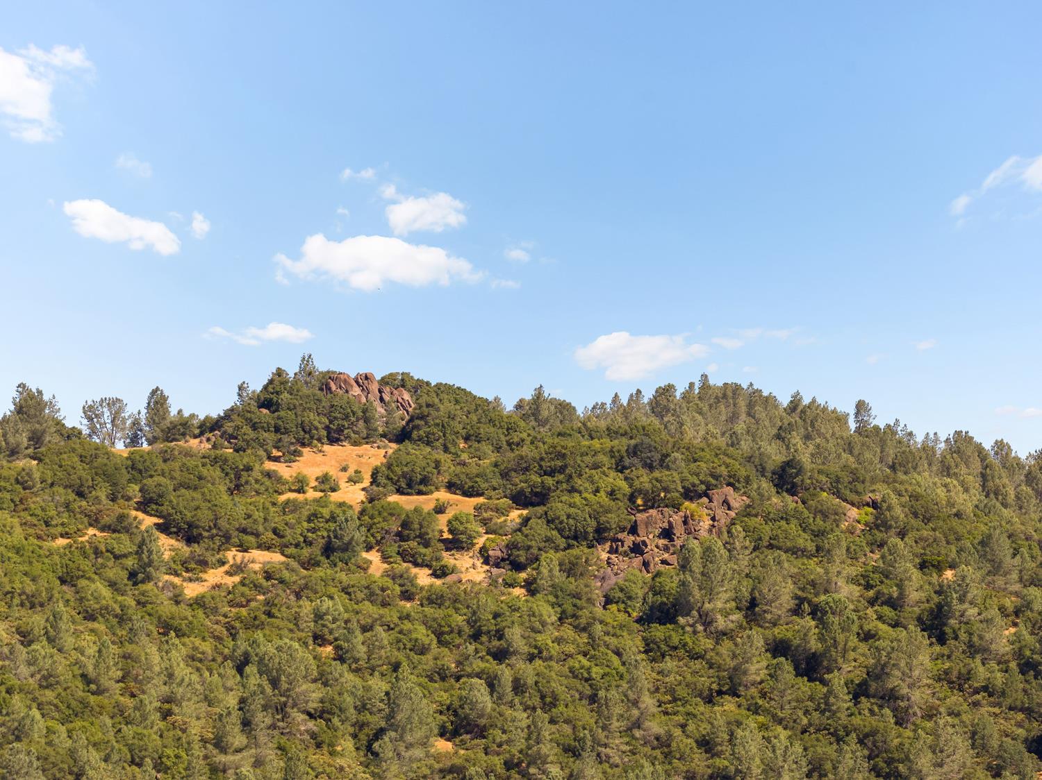 1484 Oregon Gulch Road Oroville CA 95965