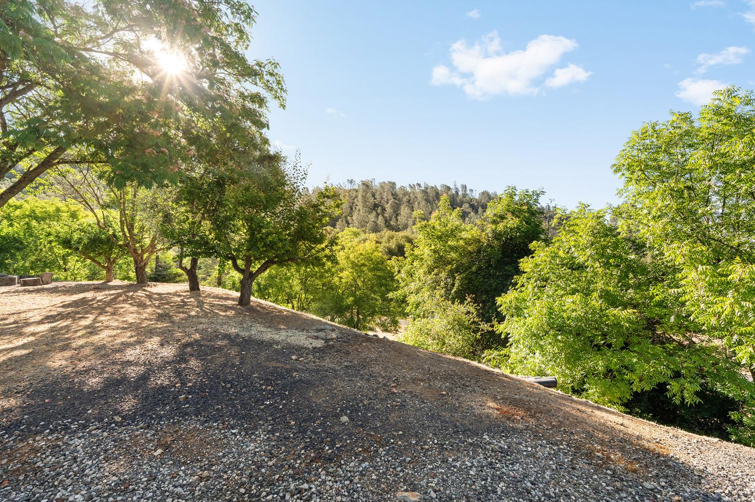 1484 Oregon Gulch Road Oroville CA 95965